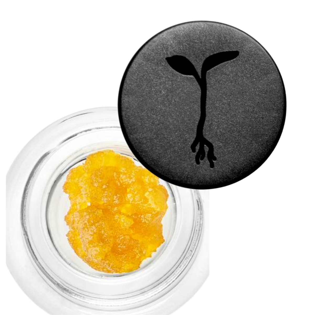 Alien OG Live Rosin