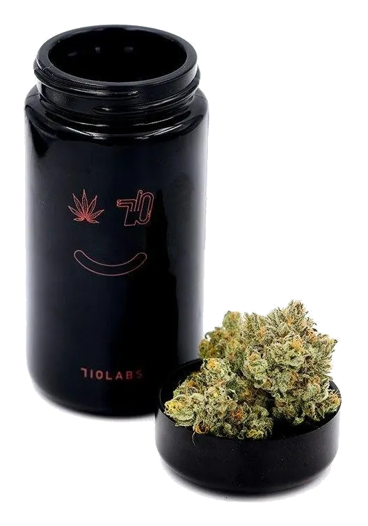 Grape Gasoline