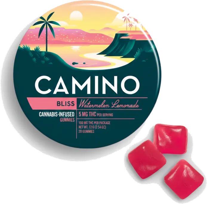 Watermelon Lemonade