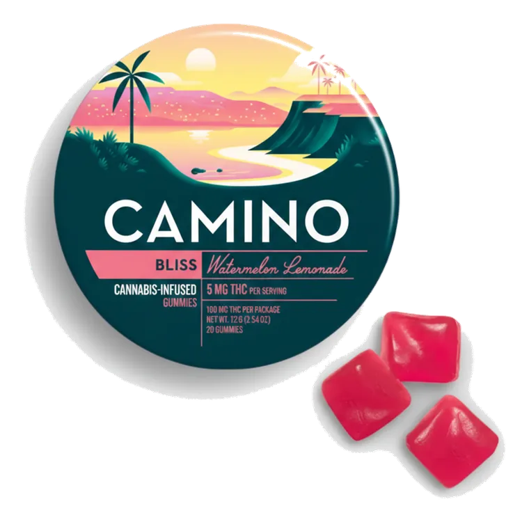 Watermelon Lemonade