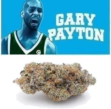 Gary Payton