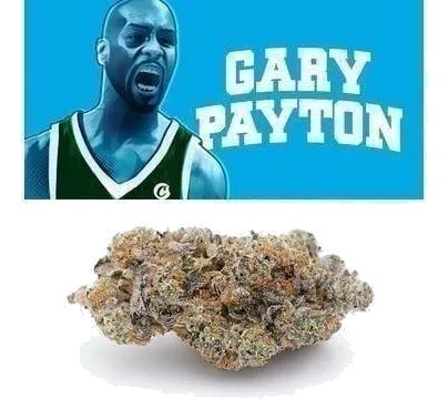 Gary Payton