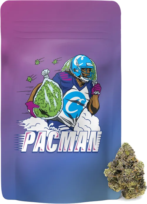 Pacman