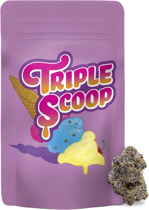 Triple Scoop