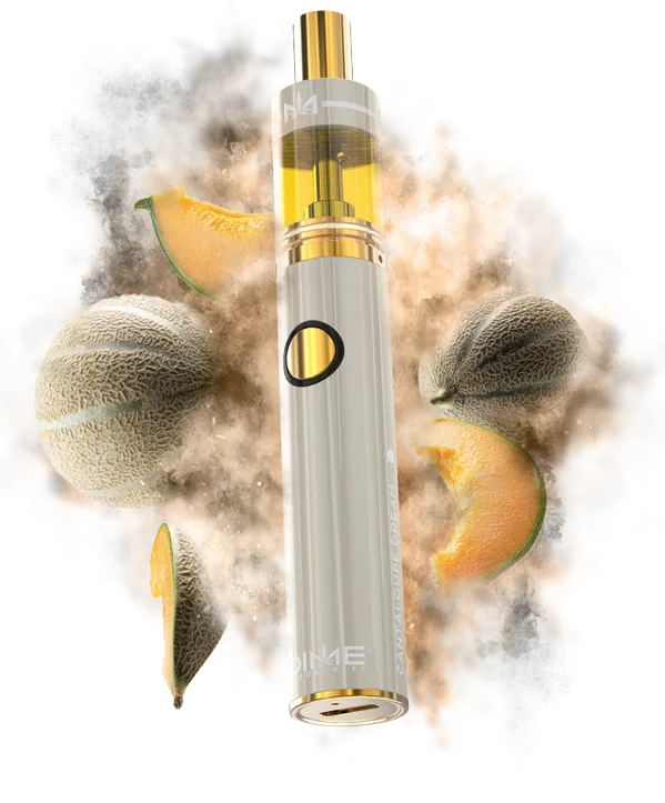Cantaloupe Dream