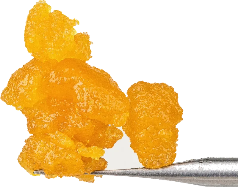Gelato Kush Live Resin