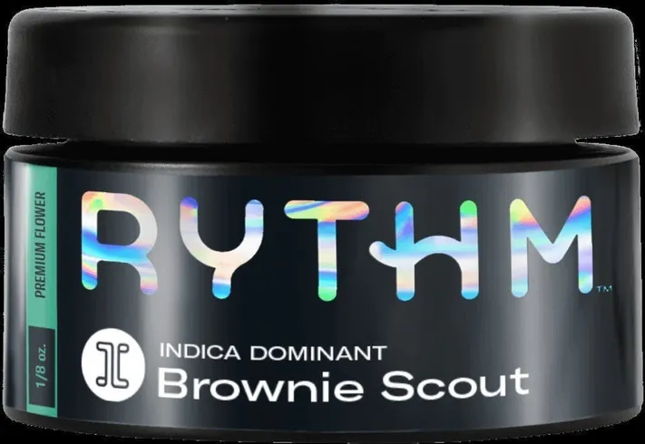 Brownie Scout