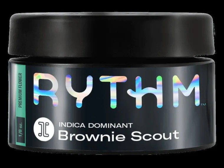 Brownie Scout